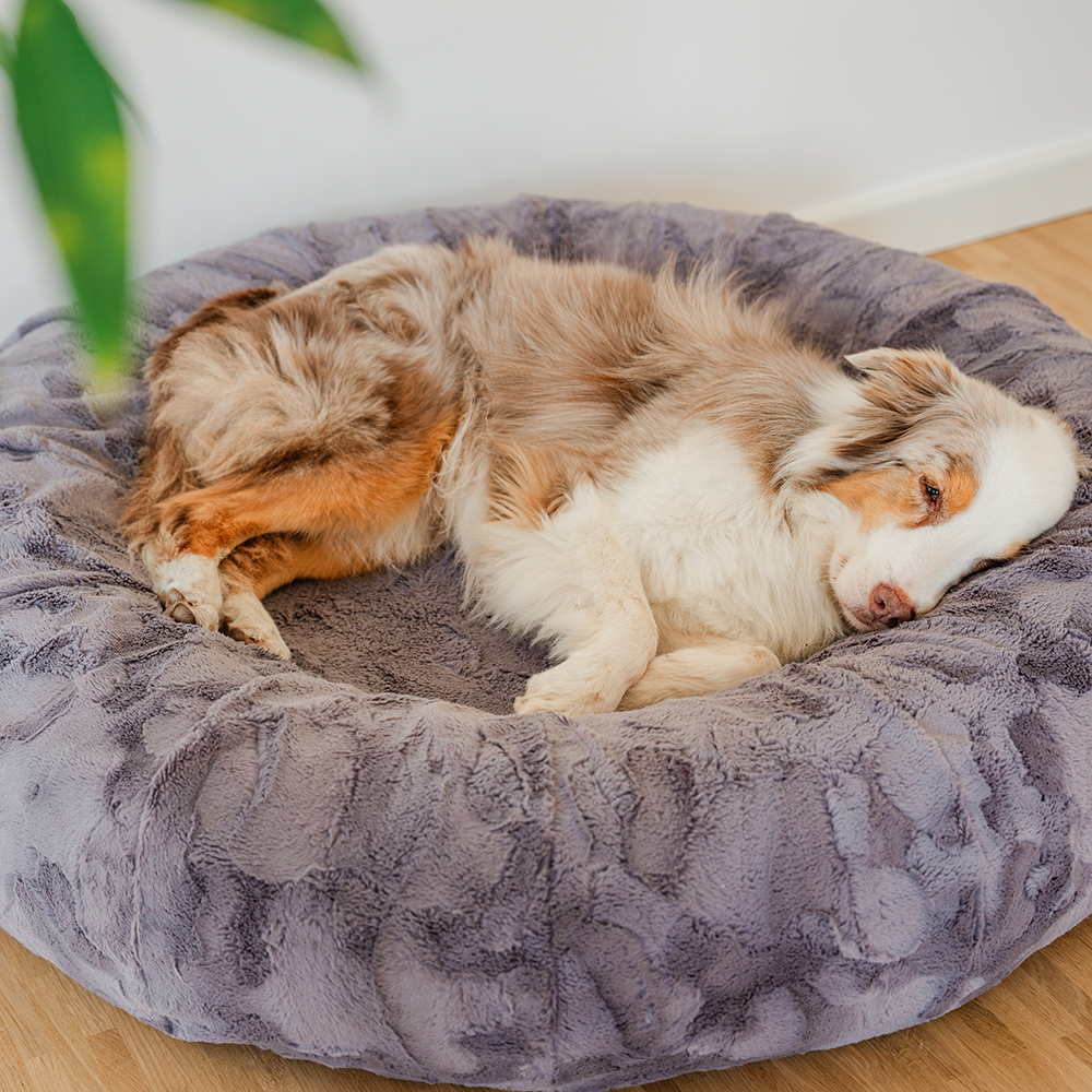 Handwerk: Die Philosophie hinter Adinas-Hundebetten